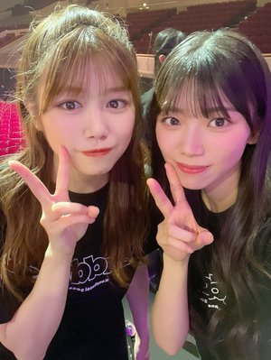 私もたんぽぽみたいになりたいのサムネイル