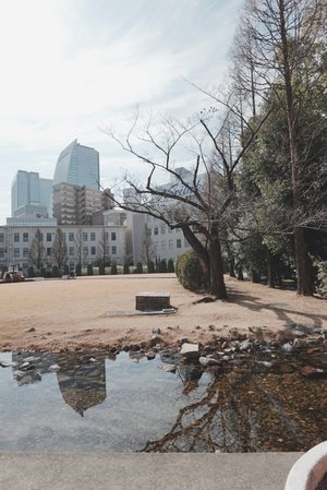 The growing up train - 画像6