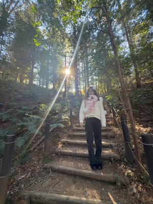 今夜18:25〜と2:08〜 - 画像5