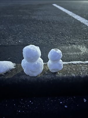 忍者ひなまる - 画像3