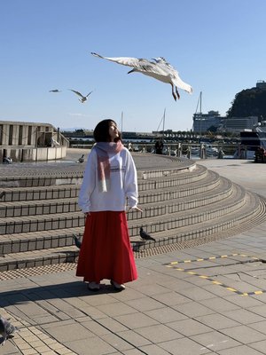 はるかな - 画像4