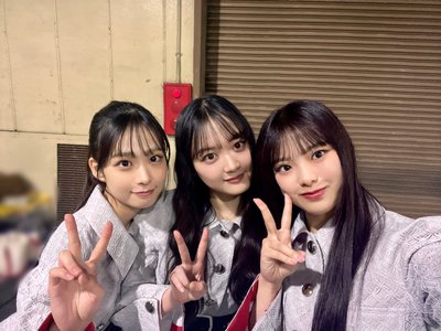 #377. ドライフルーツ🍎 - 画像5