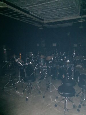 刺胞動物 - 画像3