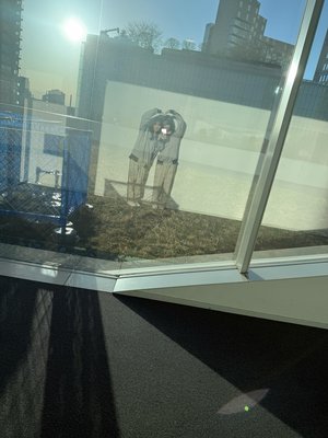 サクラミーツカフェ☕️ - 画像8