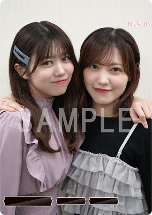 #385 ｢櫻坂46×ビルディバイド-ブライト-｣トレーディングカードゲーム - 画像4