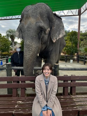 #387 ｢みやざき推し旅｣🌺🌴 - 画像2