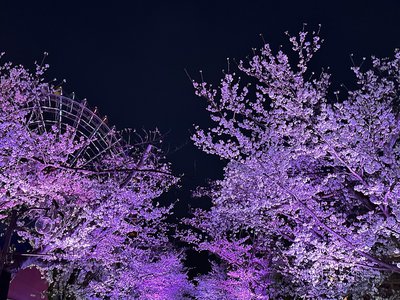 四月！のサムネイル