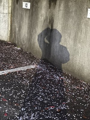 ピンクムーン、179 - 画像3