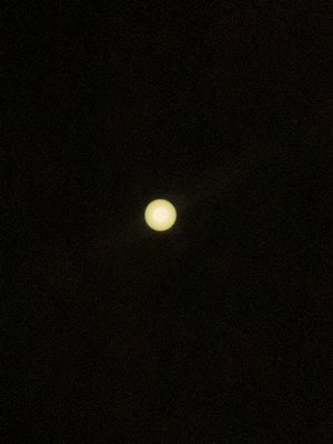 ピンクムーン、179 - 画像5