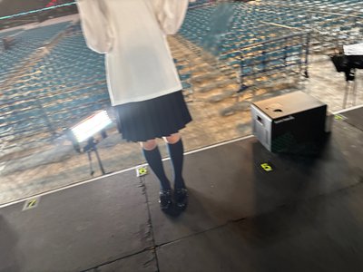 櫻のサムネイル