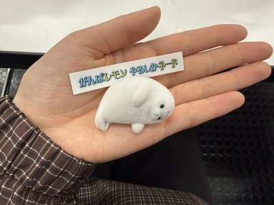 タイムトラベル、春 - 画像3