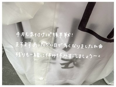 押しボタン式の信号のボタンを押し忘れてみる - 画像6